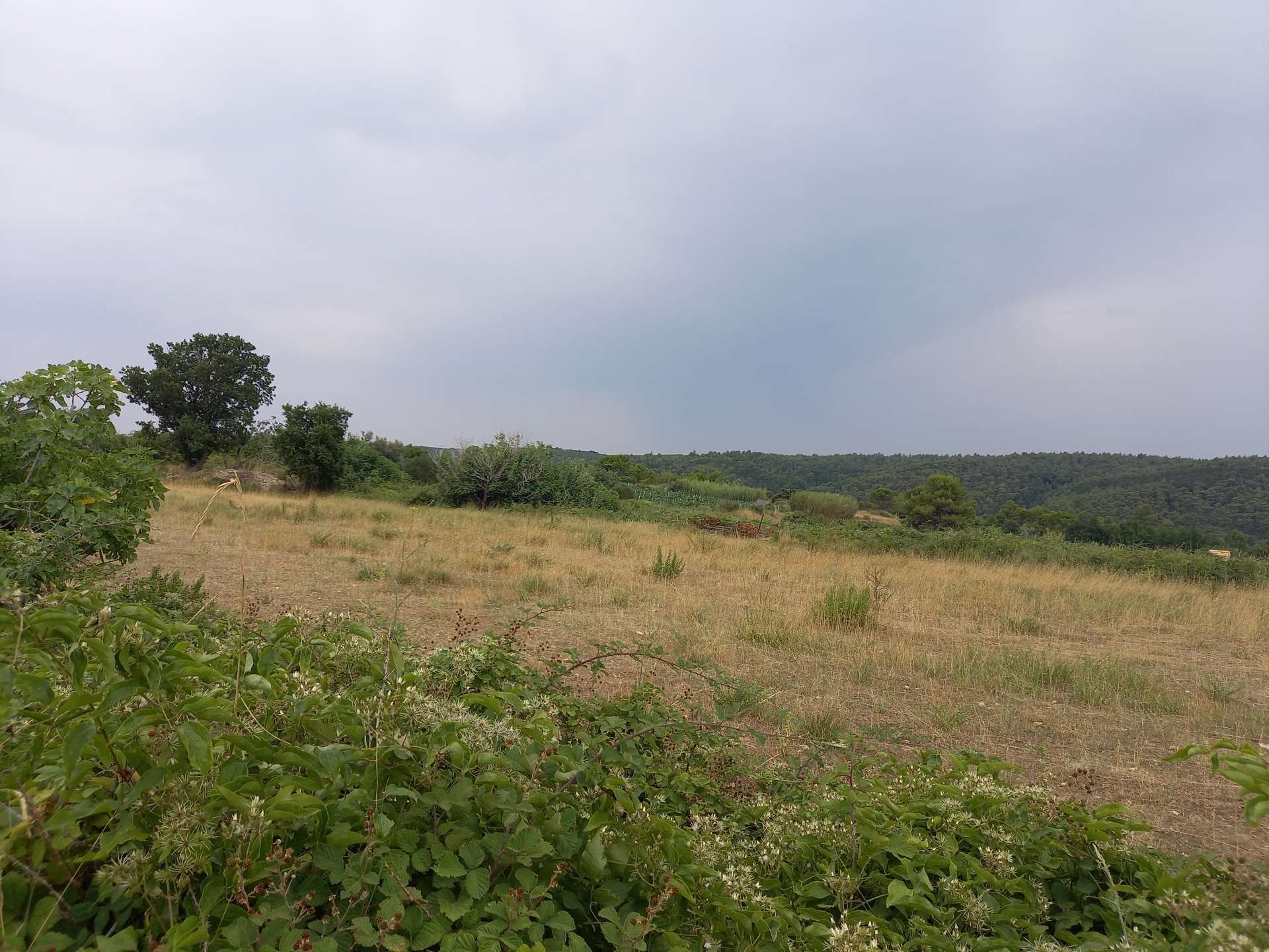 listing-small