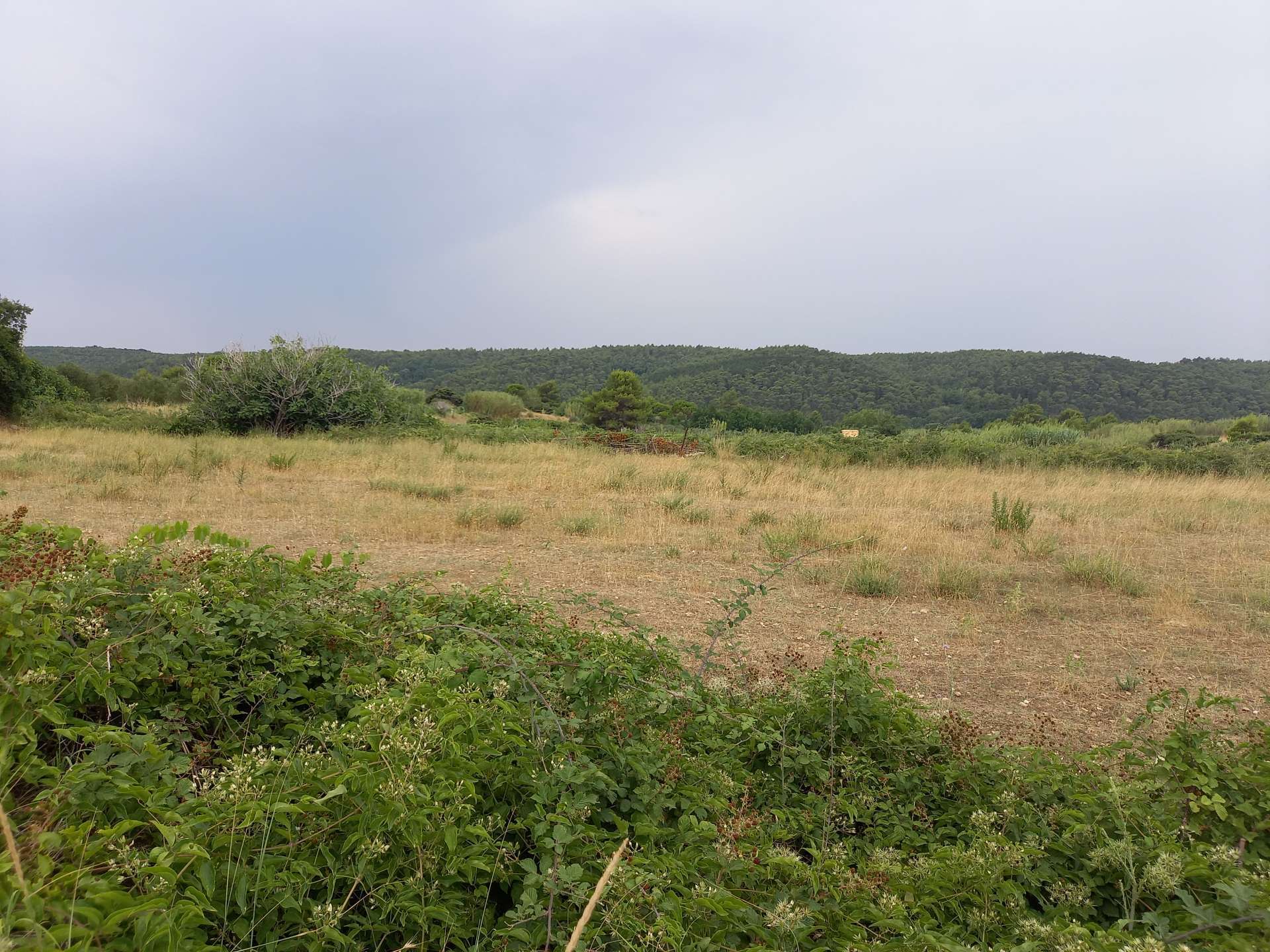 listing-small