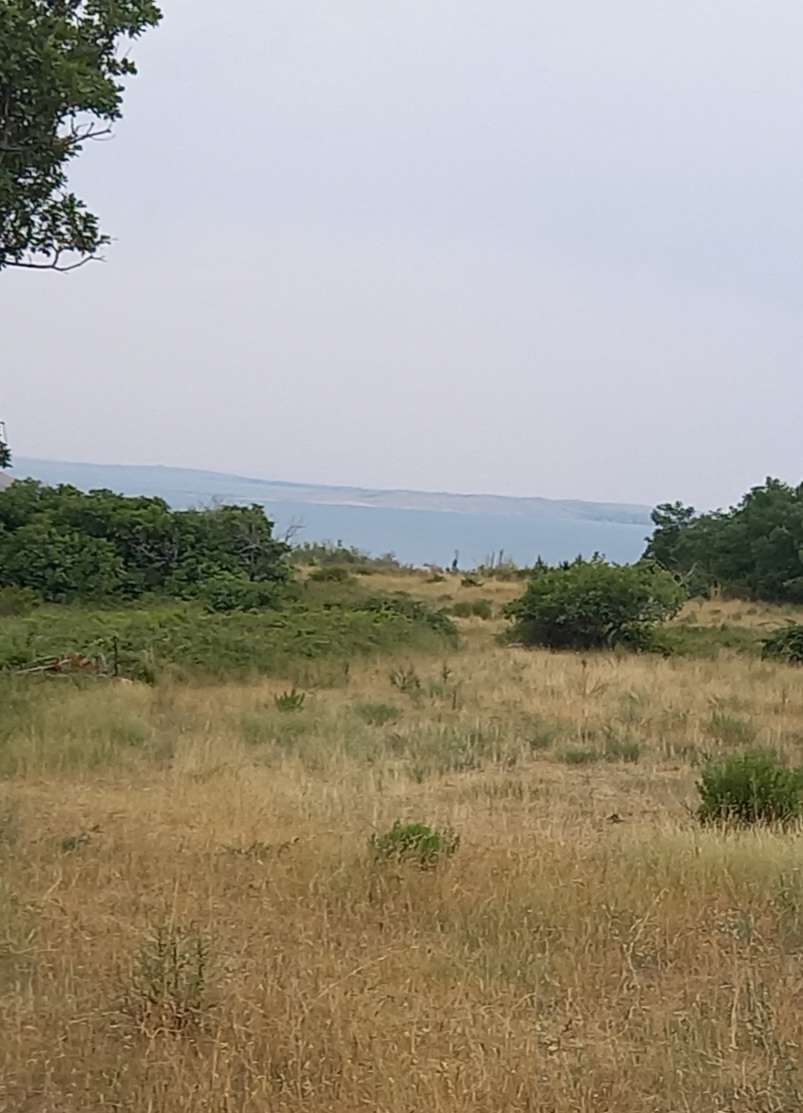 listing-small