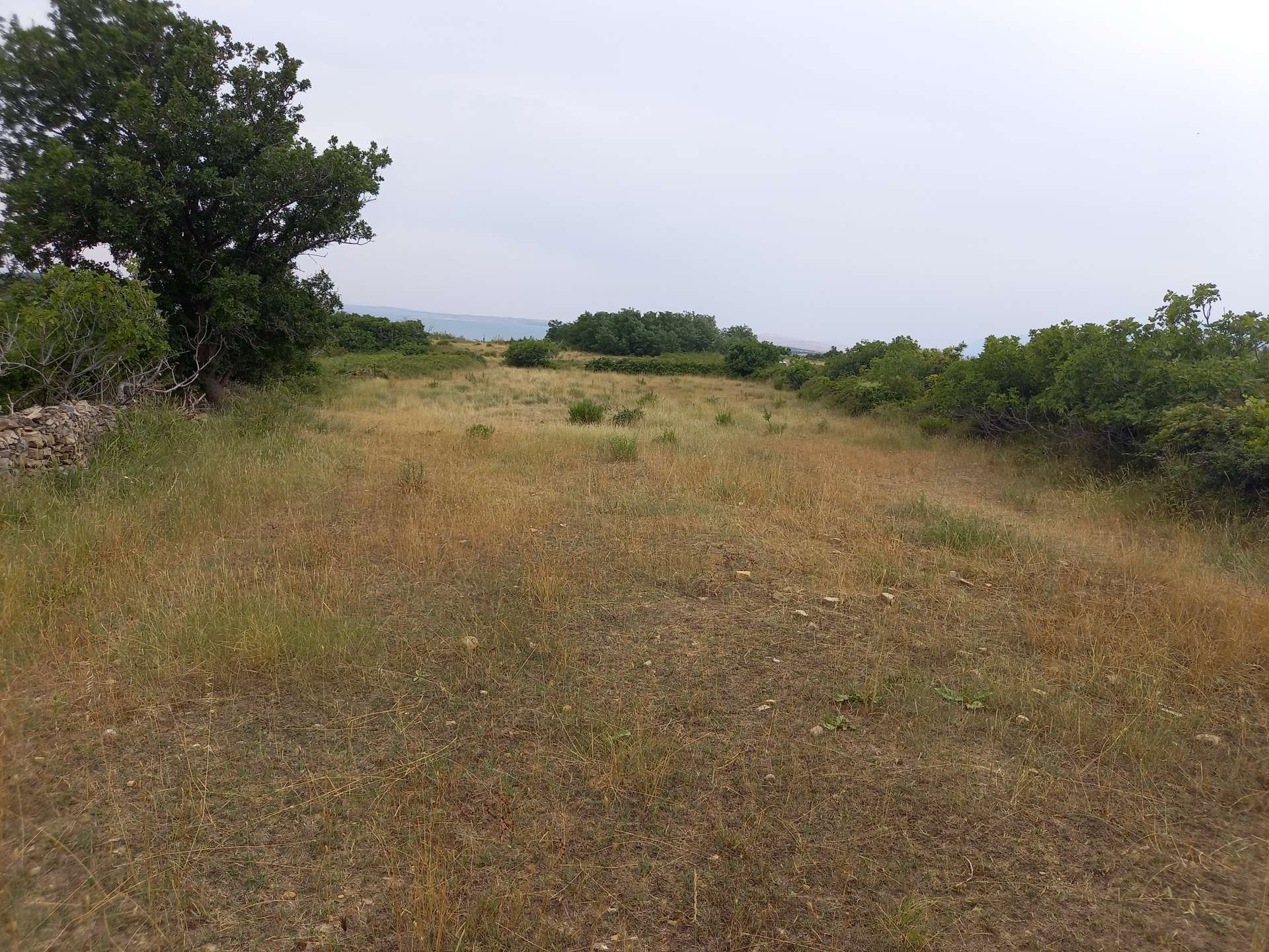 listing-small