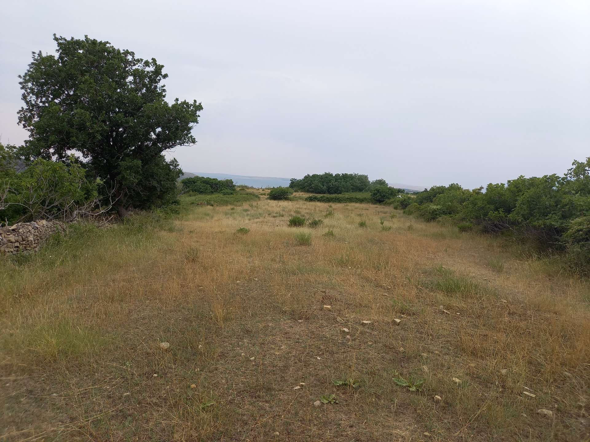 listing-small