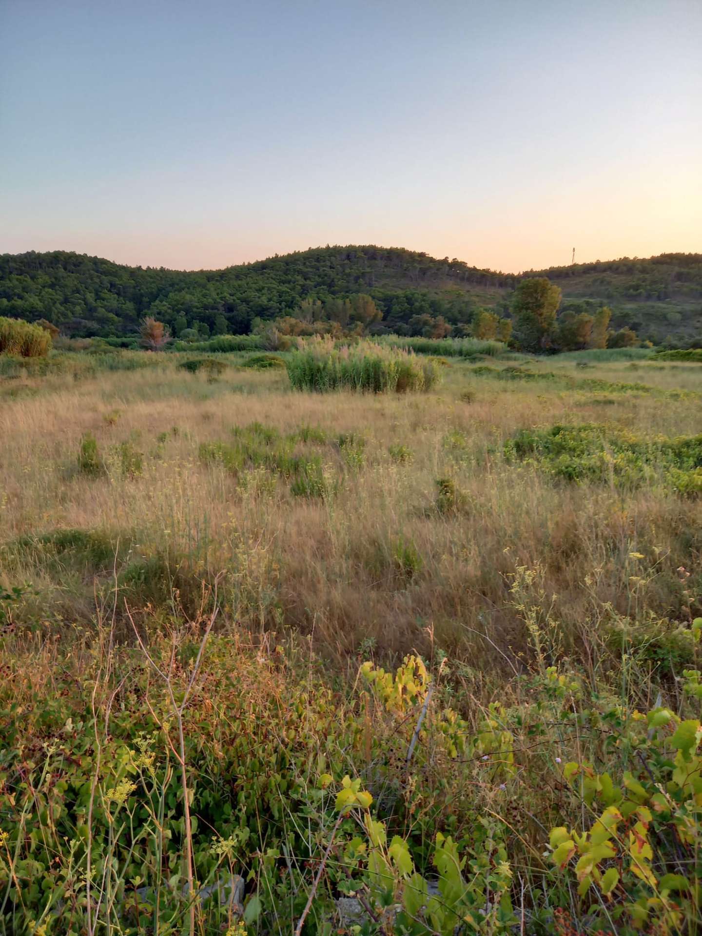 listing-small