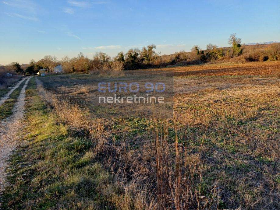 MURVICA-POLJOPRIVREDNO ZEMLJIŠTE 2764 M2 !!!